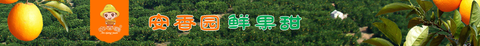 PC首頁底部長圖